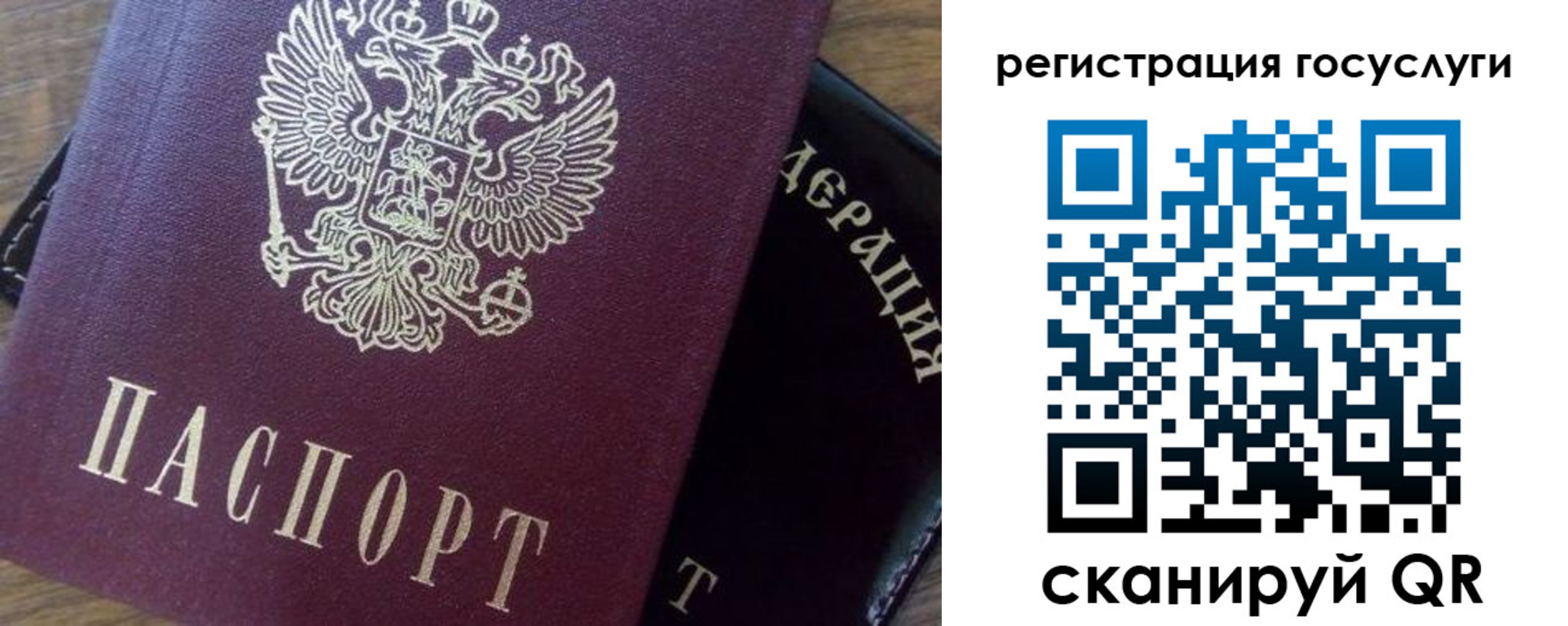 миграционный учет в Смоленской области